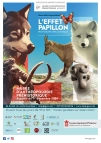 L’EFFET PAPILLON