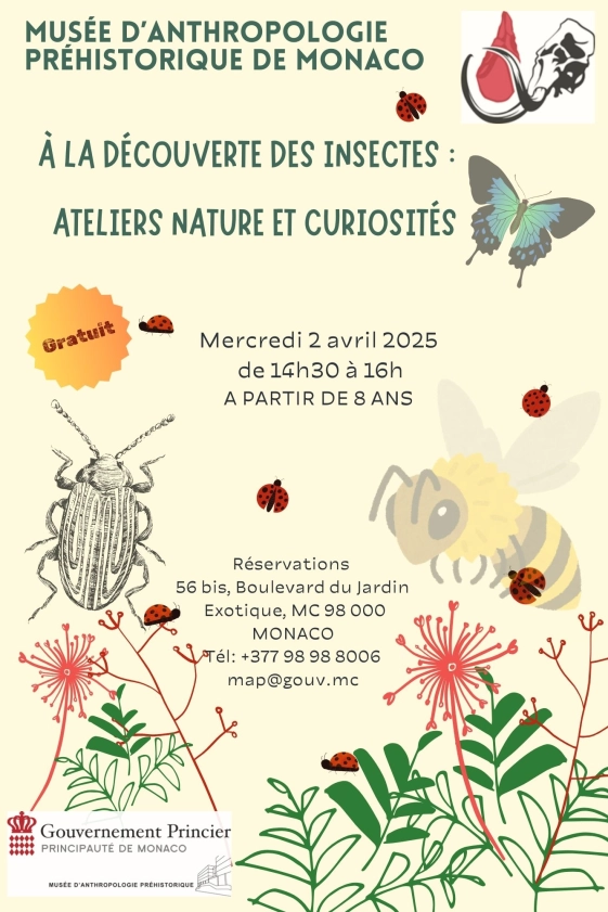 Venez explorer le monde fascinant des insectes ! 🦋
