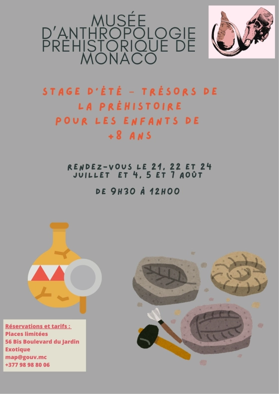 🌞 STAGE D’ÉTÉ – TRÉSORS DE LA PRÉHISTOIRE