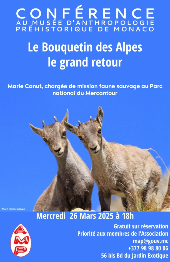 « Le Bouquetin des Alpes, le grand retour» par Marie Canut.