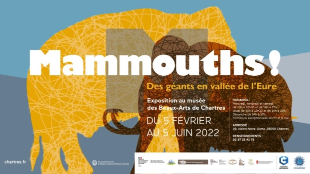 Mammouths !